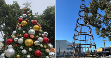 A struggling NSW town is devastated that its Christmas tree was destroyed by arsonists less than a fortnight away from the holiday.