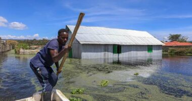 'The water came from nowhere': Settlements, hotels and farms flooded in Kenya’s Rift Valley