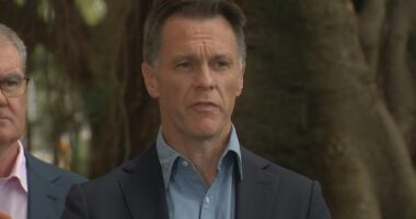 Chris Minns announced the new legislation will be rolled out on Monday.