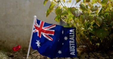 12 Dead in Sydney Terror Attack As Gunmen Target Jewish Families at Bondi Beach Hanukkah Gathering