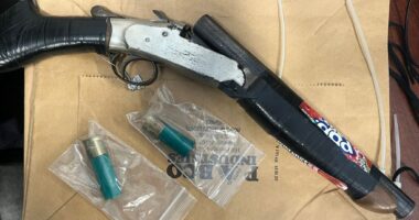 15-year-old with ‘Pop-Tarts’ sawed-off shotgun arrested in Bronx shooting