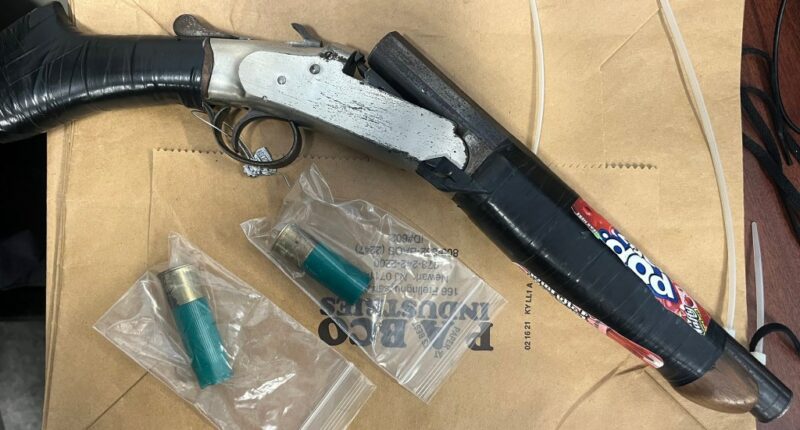 15-year-old with ‘Pop-Tarts’ sawed-off shotgun arrested in Bronx shooting