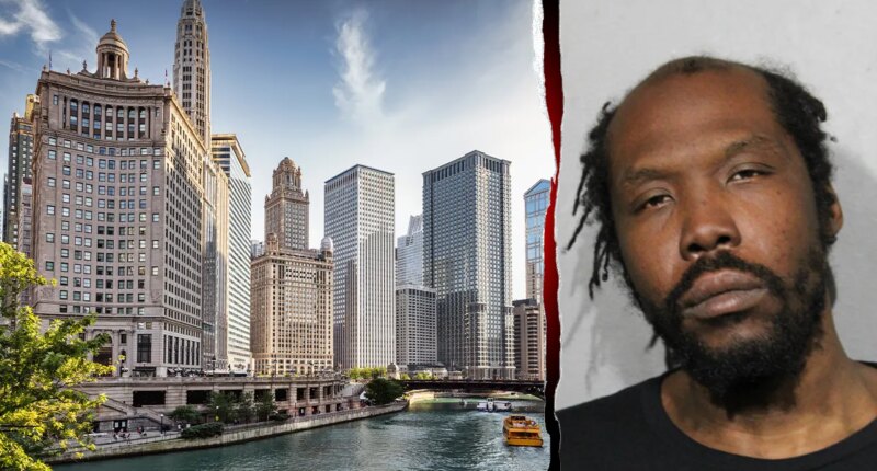 Man with 12 arrests this year busted again after allegedly attacking doctor in hospital elevator: report