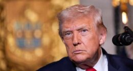 Trump says US struck Islamic State targets in Nigeria after group targeted Christians