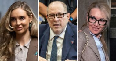 Harvey Weinstein accuser Kaja Sokola is being sued for defamation. The plaintiff: Her sister