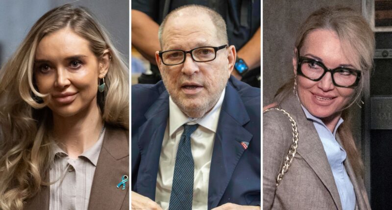 Harvey Weinstein accuser Kaja Sokola is being sued for defamation. The plaintiff: Her sister