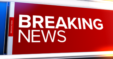 2 US service members and one American civilian killed in ambush in Syria, US Central Command says