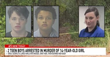 2 teens lured 14-year-old to woods to execute her: Police
