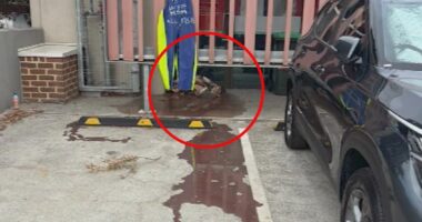 Outside Jackie Jarvis, WA Fisheries Minister's office