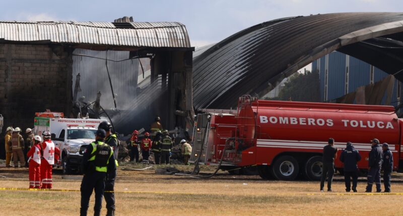 7 dead after small plane crashes near Toluca International Airport while attempting emergency landing