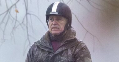 8 signs Andrew is the Invisible Man: Clues royal is in Epstein emails