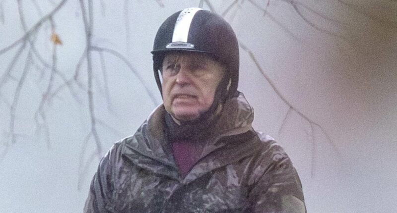 8 signs Andrew is the Invisible Man: Clues royal is in Epstein emails