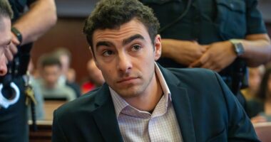 911 call for Luigi Mangione's arrest in McDonald's released: 'He looks like the CEO shooter'