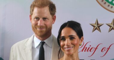ALISON BOSHOFF: Can Sussexes' charity survive after top aide leaves?