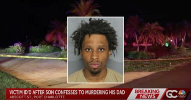 Adult son killed dad for telling him to get a job: Cops