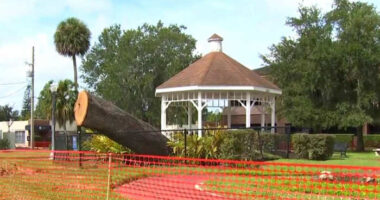 Albert Park in Orlando’s College Park neighborhood reopens with new renovations