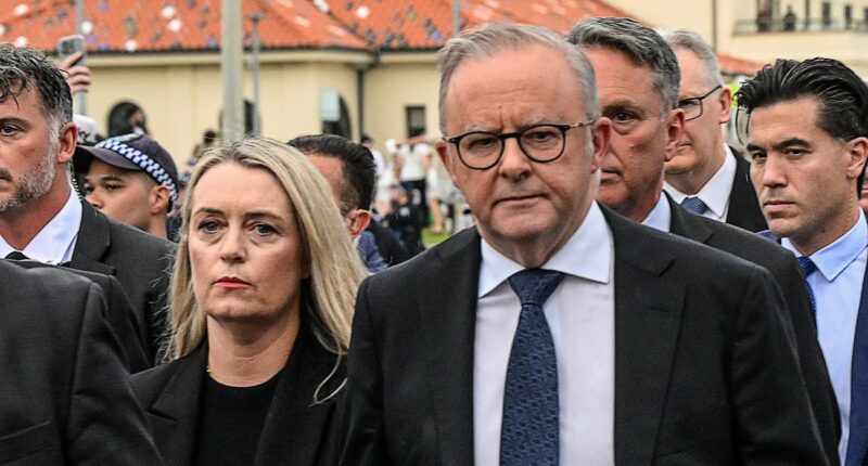 Albo outrage over missing detail in message about Bondi Beach attack