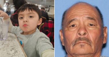 Alleged DUI driver plows into Arizona Christmas parade, killing boy, 3