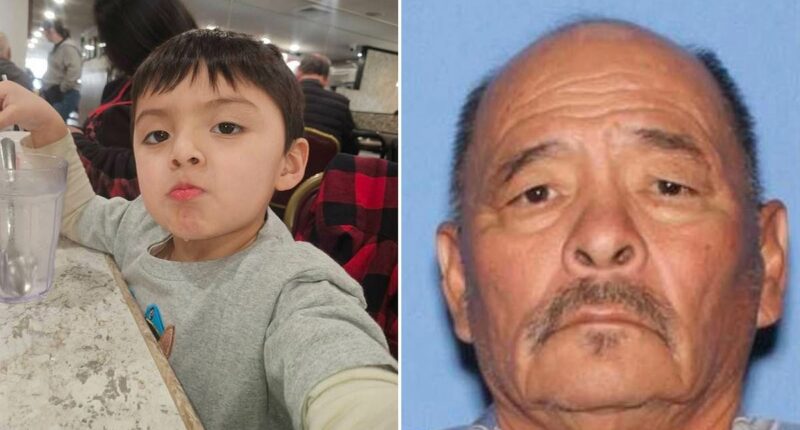 Alleged DUI driver plows into Arizona Christmas parade, killing boy, 3