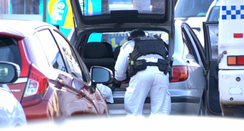 Alleged gunmen had prepared 'rudimentary' explosives, police say