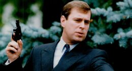 Andrew 'is stripped of his gun licence and under strict supervision'