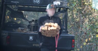 Anna Kepner's stepbrother breaks cover after her cruise ship murder