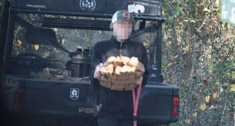 Anna Kepner's stepbrother breaks cover after her cruise ship murder