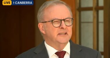Anthony Albanese refuses to hold royal commission: PM hits back