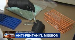Anti-fentanyl mission: How Drug Enforcement Administration Chicago division combats deadly drugs from flooding streets