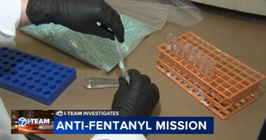 Anti-fentanyl mission: How Drug Enforcement Administration Chicago division combats deadly drugs from flooding streets