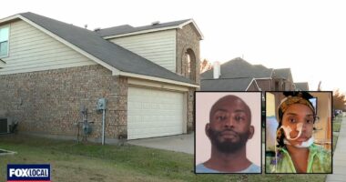 'Appeared out of nowhere': Man hides in pregnant ex-girlfriend's home then shoots her 'through' neck and face, blasts her mom while the ex's 3 children watch, cops say