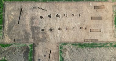 Archaeologists may have found hall belonging to Harold Godwinson