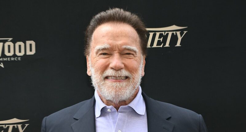 Arnold Schwarzenegger's future in the Terminator franchise revealed