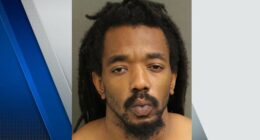 Arrest made in stabbing death of Pine Hills woman