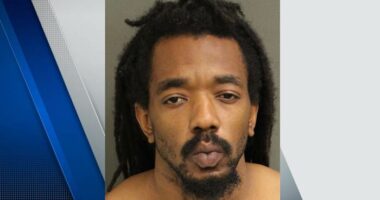 Arrest made in stabbing death of Pine Hills woman