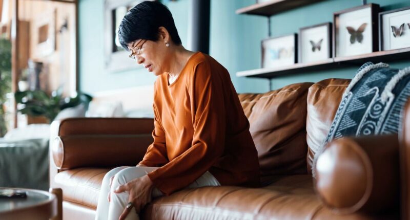 Arthritis bombshell as ancient herb could tackle agonising pain