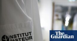 As NHS braces for record flu cases, is the strain active in continental Europe too?