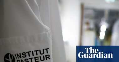 As NHS braces for record flu cases, is the strain active in continental Europe too?