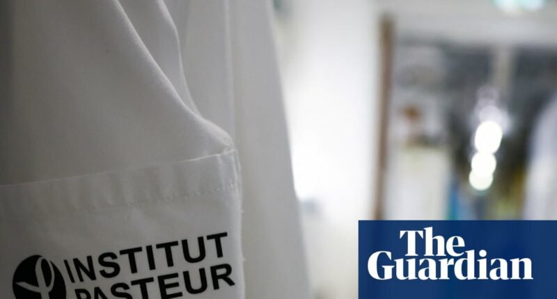 As NHS braces for record flu cases, is the strain active in continental Europe too?