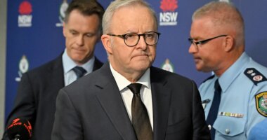 Australia moves to tighten gun laws after Hanukkah mass shooting leaves 15 dead at Bondi Beach