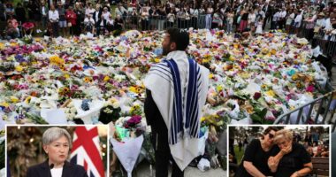 Australian foreign minister issues apology to Jewish community in wake of Bondi terror attack