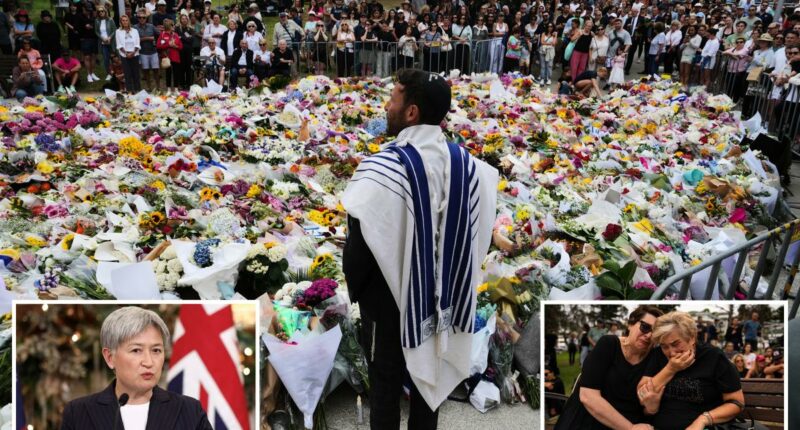 Australian foreign minister issues apology to Jewish community in wake of Bondi terror attack