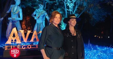 'Avatar: Fire and Ash' press tour wraps with final stops in Mexico City and Toronto 