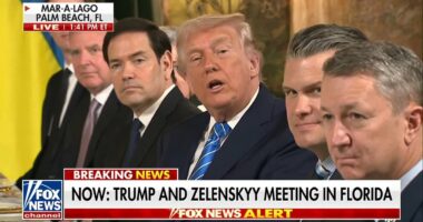 Awkward moment Trump offers reporters free lunch at Mar-A-Lago