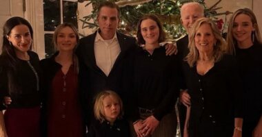 Biden posts confusing Christmas card of family with him barely visible