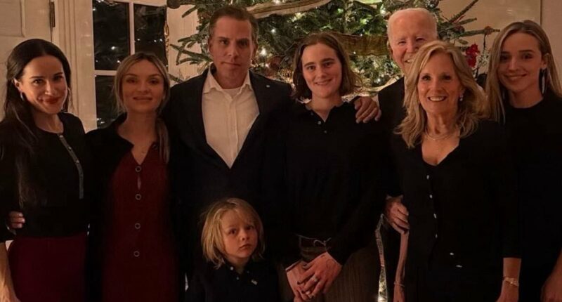 Biden posts confusing Christmas card of family with him barely visible