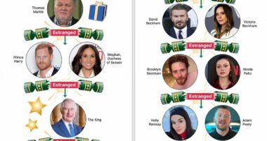 Biggest famous family feuds of 2025: The stars leaving their relatives out in the cold this Christmas - and how they all share an intriguing connection