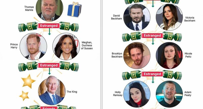 Biggest famous family feuds of 2025: The stars leaving their relatives out in the cold this Christmas - and how they all share an intriguing connection