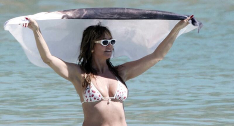Bikini-clad Heidi Klum, 52, dries off with a kooky toyboy towel