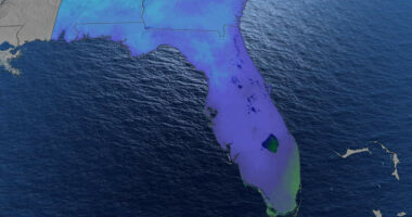 Blast of cold air headed for Florida. Here’s how cold it will get